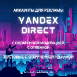 yandex direct.png